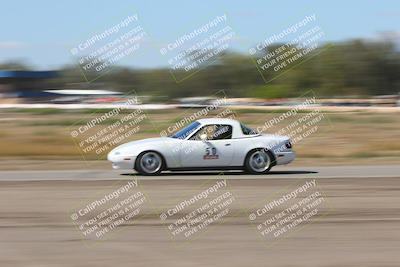 media/Oct-04-2025-OnGrid (Sat) [[44bd565ffa]]/Purple Group/Grapevine/